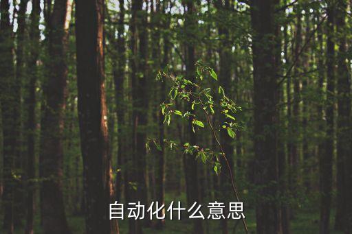 自動(dòng)化什么意思