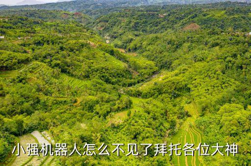 小強(qiáng)機(jī)器人怎么不見了拜托各位大神