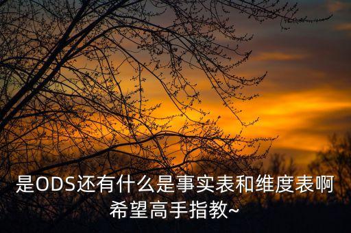 是ODS還有什么是事實(shí)表和維度表啊希望高手指教~