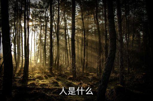 人是什么
