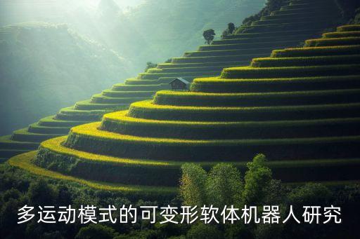 多運動模式的可變形軟體機器人研究