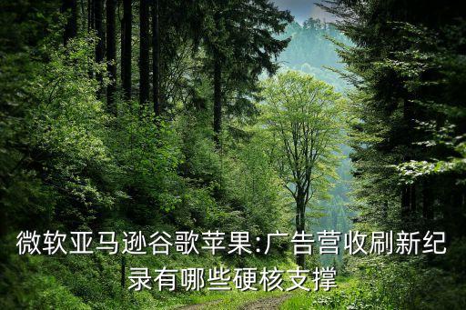 微軟亞馬遜谷歌蘋(píng)果:廣告營(yíng)收刷新紀(jì)錄有哪些硬核支撐