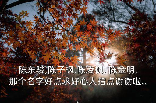 陳東駿,陳子楓,陳凌楓, 陳金明,那個名字好點求好心人指點謝謝啦...