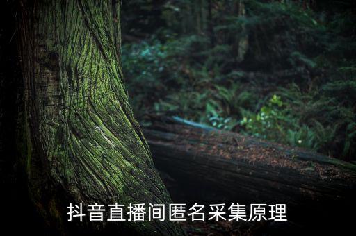 抖音直播間匿名采集原理