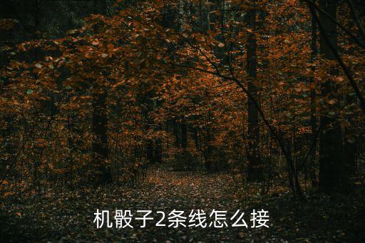 骰子自動化設備,手機骰子控制器設備