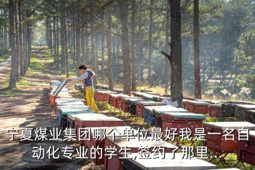寧夏工業(yè)自動化選哪家公司,工業(yè)自動化哪個好?
