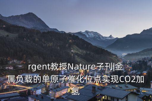 rgent教授Nature子刊|金屬負載的單原子催化位點實現(xiàn)CO2加氫