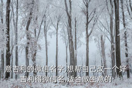 意吉利的微信名字,想幫自己改一個(gè)好吉利得微信名,適合做生意的