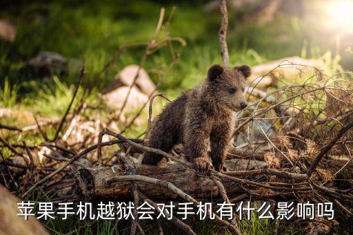 蘋果手機越獄會對手機有什么影響嗎