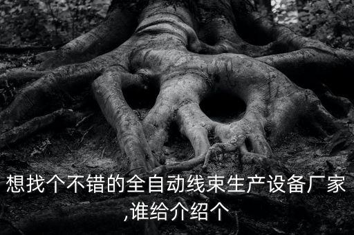 排線線束自動(dòng)化設(shè)備,國(guó)內(nèi)有哪些做線束自動(dòng)化加工設(shè)備廠家?