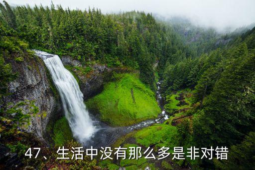 47、生活中沒有那么多是非對(duì)錯(cuò)
