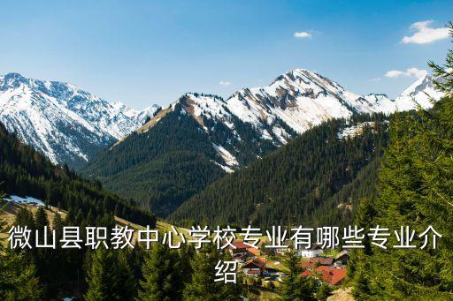 職教電氣自動化,巫溪縣鳳凰職教中心有哪些職業(yè)?