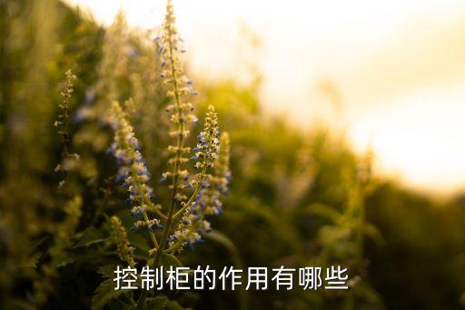 控制柜的作用有哪些