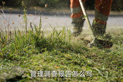 辦公自動化專業(yè)調查報告,查閱專業(yè)技術工作報告