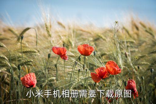  小米手機(jī)相冊(cè)需要下載原圖