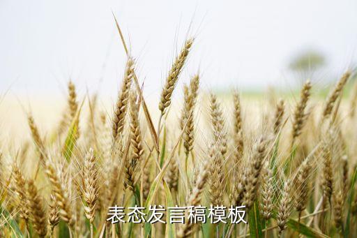 自動(dòng)化專業(yè)發(fā)言稿模板,在報(bào)表模板上