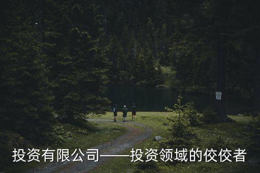投資有限公司——投資領(lǐng)域的佼佼者