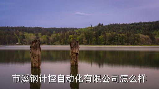 江西自動(dòng)化測(cè)溫產(chǎn)品公司,自動(dòng)溫度計(jì)