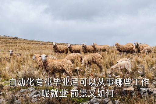  自動(dòng)化專業(yè)畢業(yè)后可以從事哪些工作呢就業(yè) 前景又如何