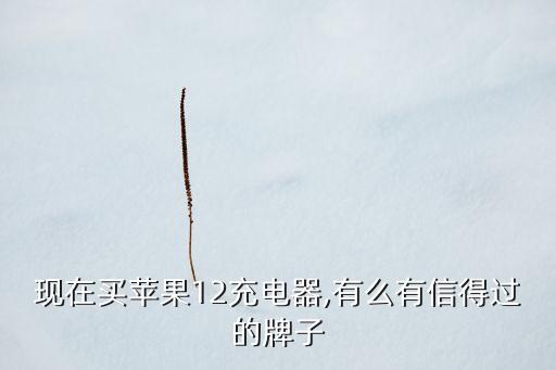 現(xiàn)在買蘋果12充電器,有么有信得過的牌子