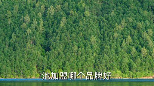 鋰電池自動(dòng)化公司排名,深圳鋰電池公司排名