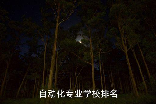 電氣控制自動化專業(yè)排名,武漢大學(xué)電氣及其自動化專業(yè)排名