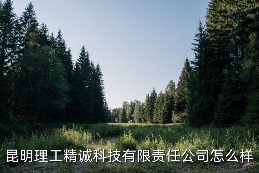 昆明理工精誠科技有限責(zé)任公司怎么樣