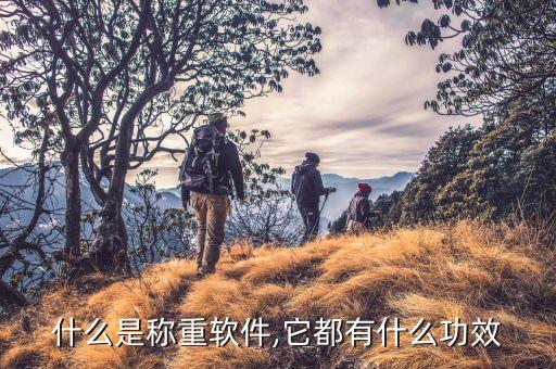 什么是稱重軟件,它都有什么功效