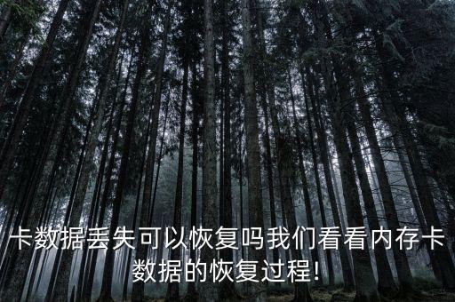 卡數(shù)據(jù)丟失可以恢復(fù)嗎我們看看內(nèi)存卡數(shù)據(jù)的恢復(fù)過程!