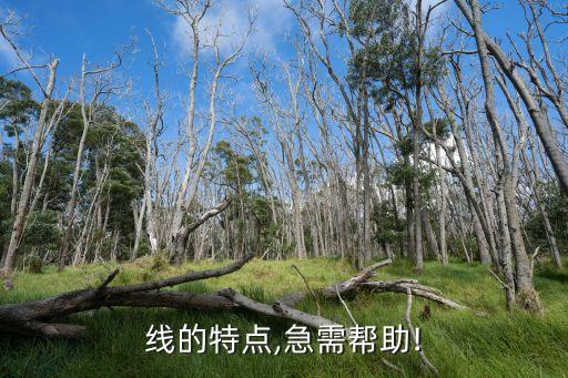 成都流水線自動(dòng)化公司,自動(dòng)裝配線自動(dòng)化設(shè)備
