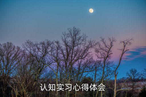 自動化專業(yè)認(rèn)知的學(xué)生小結(jié),電氣工程及其自動化專業(yè)工程師