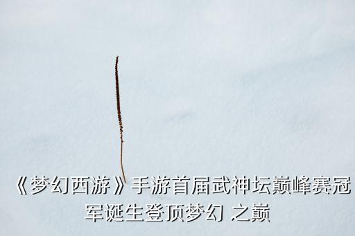 《夢(mèng)幻西游》手游首屆武神壇巔峰賽冠軍誕生登頂夢(mèng)幻 之巔