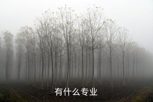 中專里有電氣自動化嗎,電氣自動化中專畢業(yè)找工作好嗎?