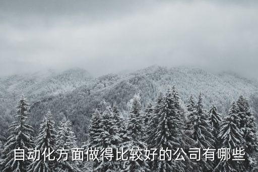 自動(dòng)化方面做得比較好的公司有哪些