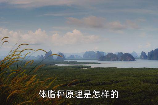 體脂秤原理是怎樣的