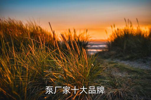 自動(dòng)化電子地泵公司,電子設(shè)計(jì)自動(dòng)化公司