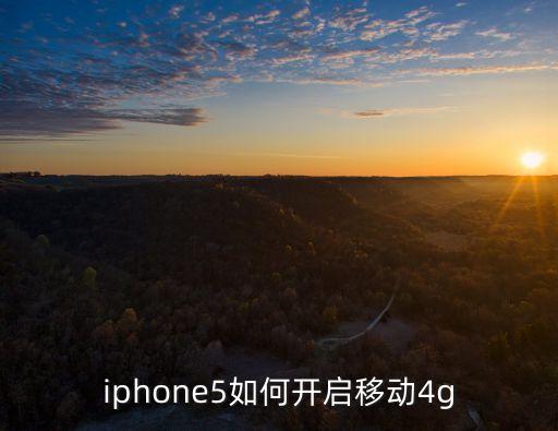 蘋果5怎么設(shè)置移動(dòng)數(shù)據(jù)開關(guān)在哪里設(shè)置