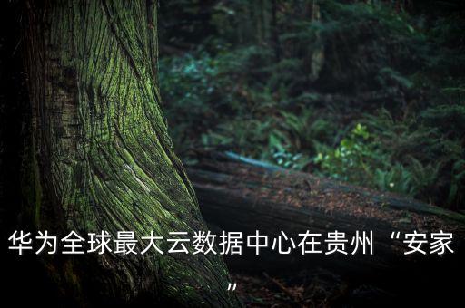 華為全球最大云數(shù)據(jù)中心在貴州“安家”