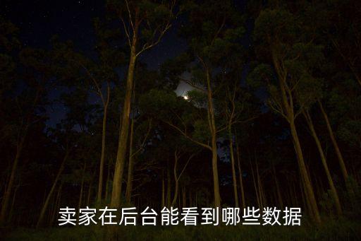 賣家在后臺能看到哪些數(shù)據(jù)
