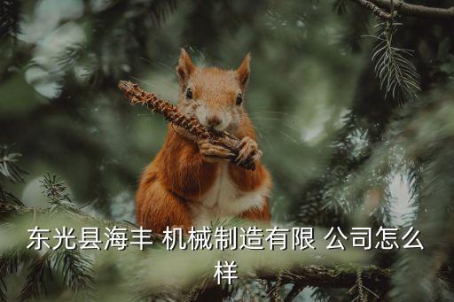湛江紙箱機械自動化公司