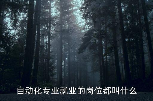自動化專業(yè)就業(yè)的崗位都叫什么