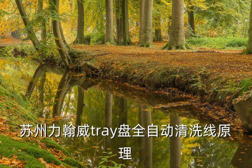 蘇州力翰威tray盤全自動(dòng)清洗線原理