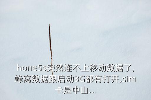 5s蜂窩移動(dòng)數(shù)據(jù),蜂窩數(shù)據(jù)按鈕為灰色