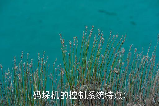 碼垛機(jī)的控制系統(tǒng)特點(diǎn):