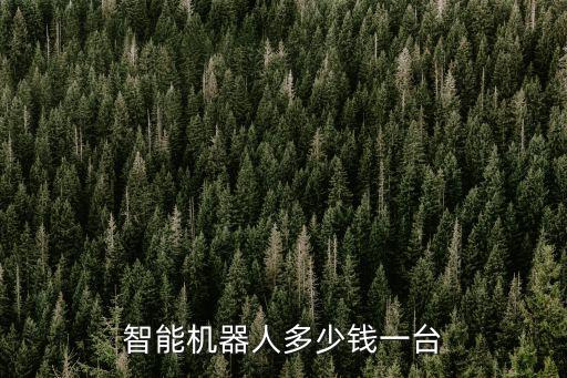 智能機(jī)器人多少錢一臺(tái)
