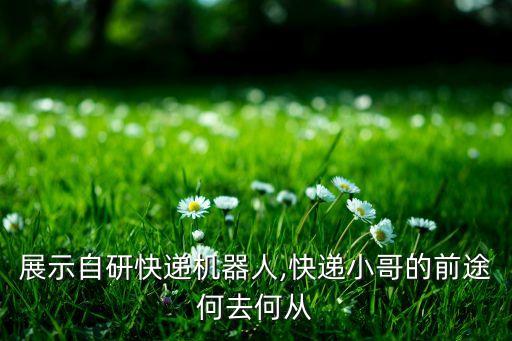快遞公司自動化視頻,極限兔快遞是什么意思?
