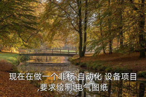 現(xiàn)在在做一個非標(biāo) 自動化 設(shè)備項(xiàng)目,要求繪制 電氣圖紙