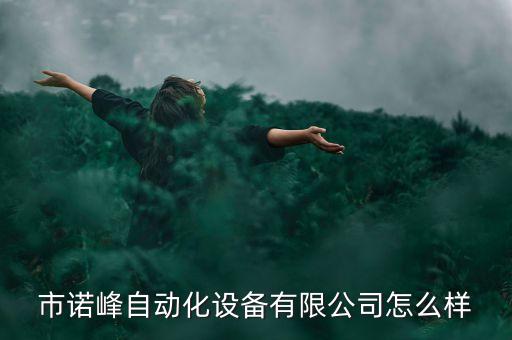 市諾峰自動(dòng)化設(shè)備有限公司怎么樣