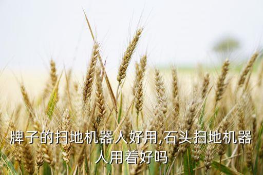 牌子的掃地機(jī)器人好用,石頭掃地機(jī)器人用著好嗎