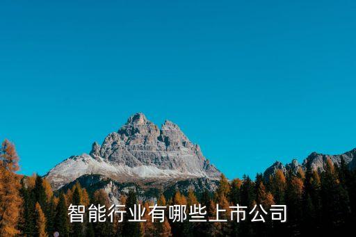 智能行業(yè)有哪些上市公司